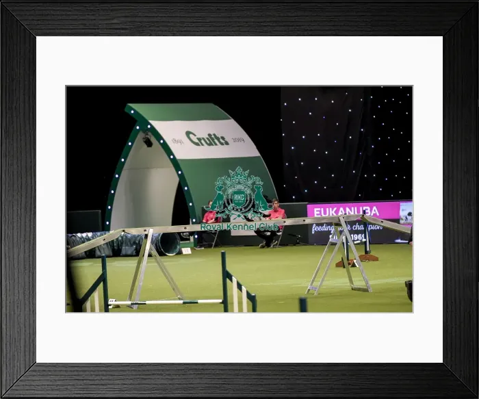 Framed Print : Crufts 2019 - Day Two, NEC, UK - 8 Mar 2019 Framed Print : Crufts 2019 - Day Two, NEC, UK - 8 Mar 2019