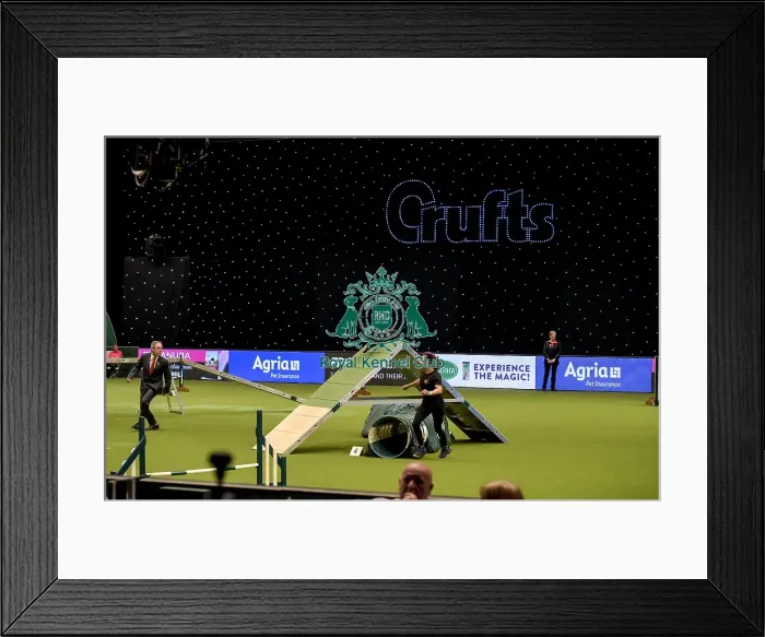 Framed Print : Crufts 2019 - Day Two, NEC, UK - 8 Mar 2019 Framed Print : Crufts 2019 - Day Two, NEC, UK - 8 Mar 2019