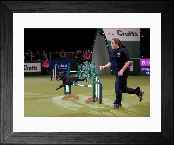 Framed Print : Crufts 2019 - Day Two, NEC, UK - 8 Mar 2019 Framed Print : Crufts 2019 - Day Two, NEC, UK - 8 Mar 2019