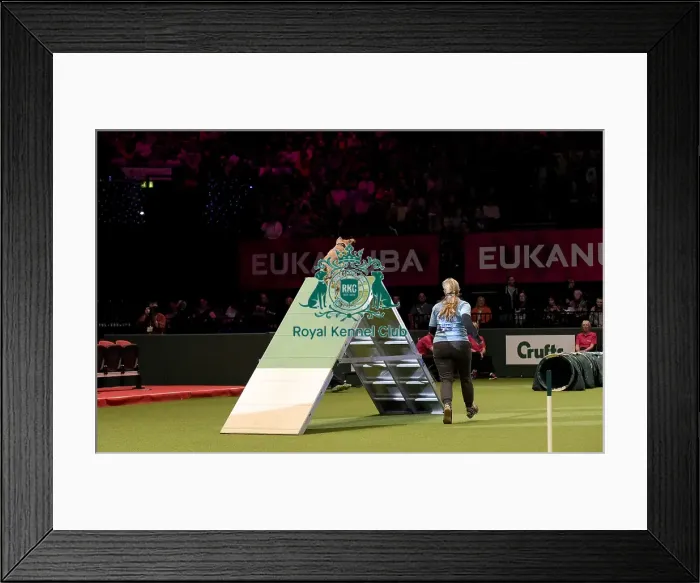 Framed Print : Crufts 2019 - Day Two, NEC, UK - 8 Mar 2019 Framed Print : Crufts 2019 - Day Two, NEC, UK - 8 Mar 2019