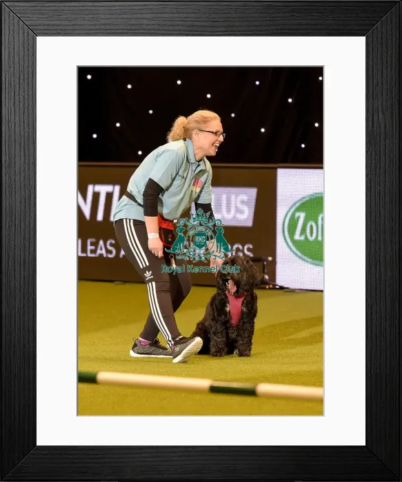 Framed Print : Crufts 2019 - Day Two, NEC, UK - 8 Mar 2019 Framed Print : Crufts 2019 - Day Two, NEC, UK - 8 Mar 2019