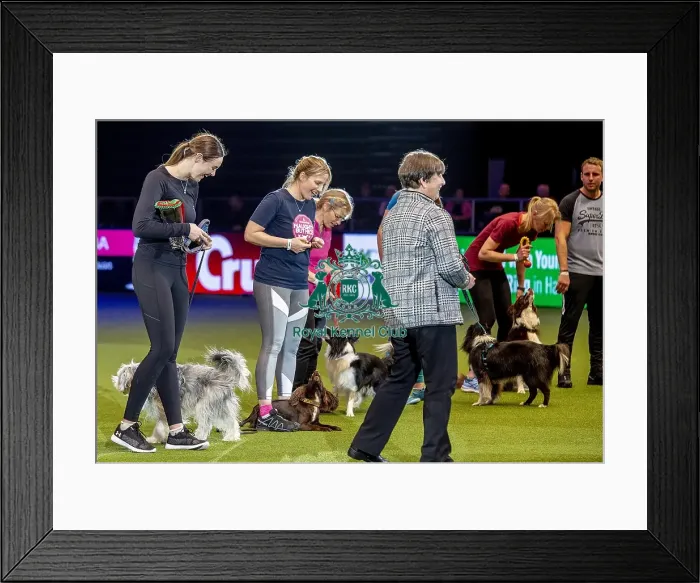 Framed Print : Crufts 2019 - Day Two, NEC, UK - 8 Mar 2019 Framed Print : Crufts 2019 - Day Two, NEC, UK - 8 Mar 2019