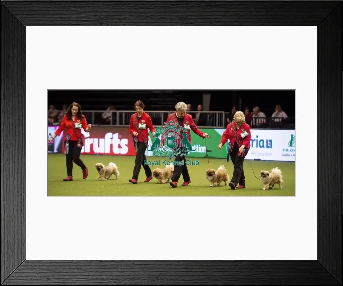 Framed Print : Crufts 2019 - Day Two, NEC, UK - 8 Mar 2019