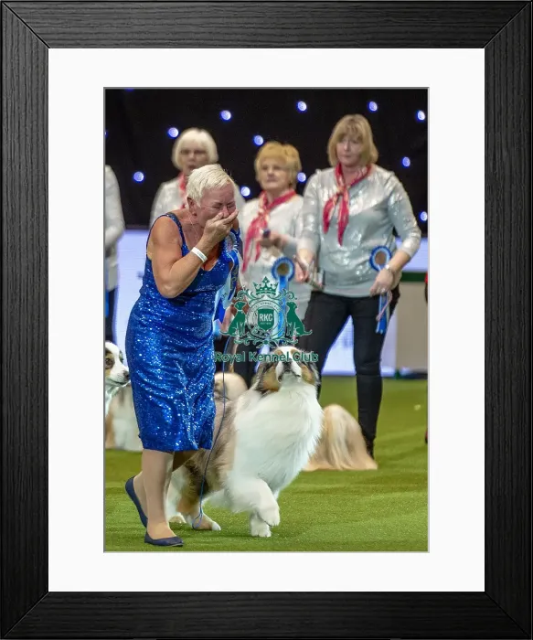 Framed Print : Crufts 2019 - Day Two, NEC, UK - 8 Mar 2019 Framed Print : Crufts 2019 - Day Two, NEC, UK - 8 Mar 2019