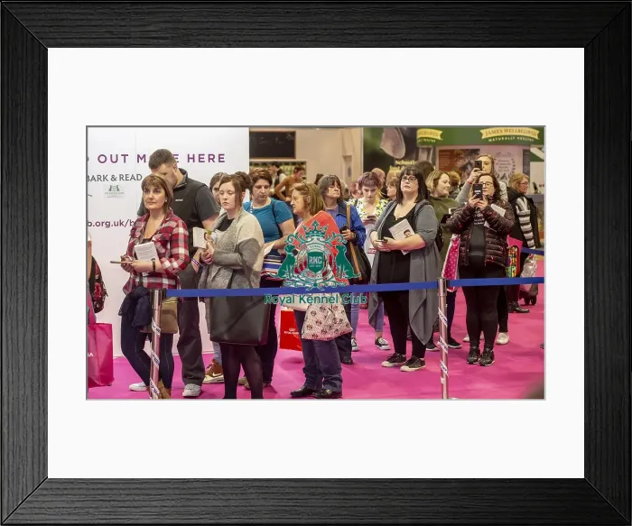 Framed Print : Crufts 2019 - Day Two, NEC, UK - 8 Mar 2019 Framed Print : Crufts 2019 - Day Two, NEC, UK - 8 Mar 2019