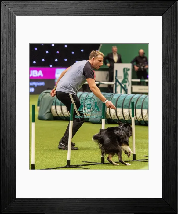 Framed Print : Crufts 2019 - Day Two, NEC, UK - 8 Mar 2019 Framed Print : Crufts 2019 - Day Two, NEC, UK - 8 Mar 2019
