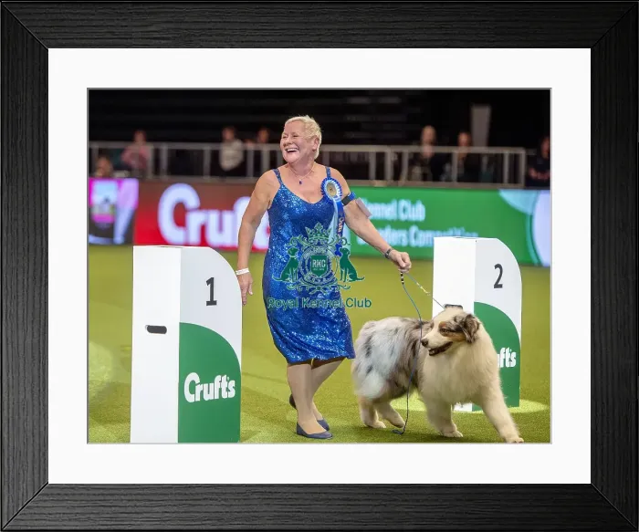 Framed Print : Crufts 2019 - Day Two, NEC, UK - 8 Mar 2019 Framed Print : Crufts 2019 - Day Two, NEC, UK - 8 Mar 2019