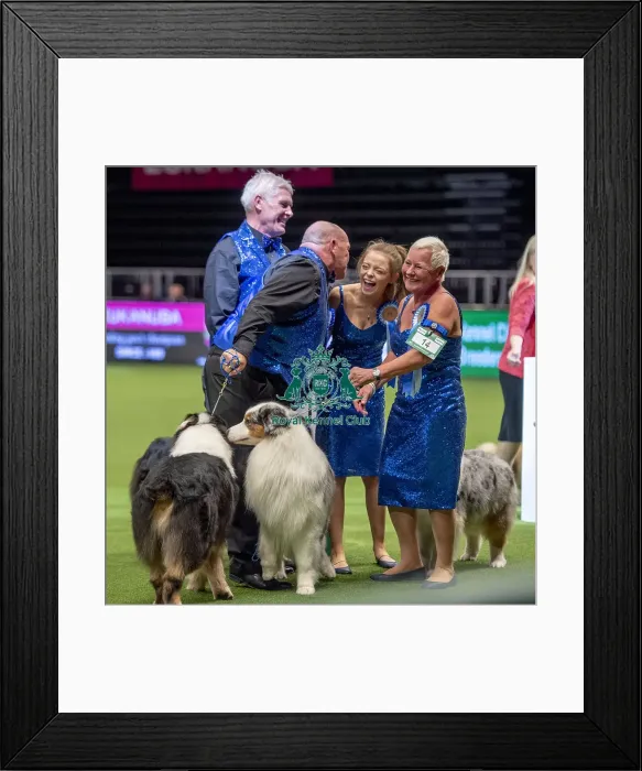 Framed Print : Crufts 2019 - Day Two, NEC, UK - 8 Mar 2019 Framed Print : Crufts 2019 - Day Two, NEC, UK - 8 Mar 2019