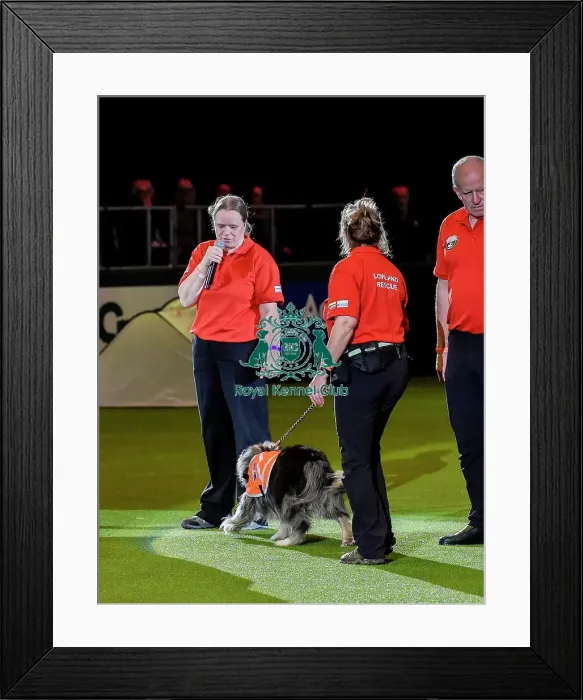 Framed Print : Crufts 2019 - Day Three, NEC, UK - 9 Mar 2019 Framed Print : Crufts 2019 - Day Three, NEC, UK - 9 Mar 2019