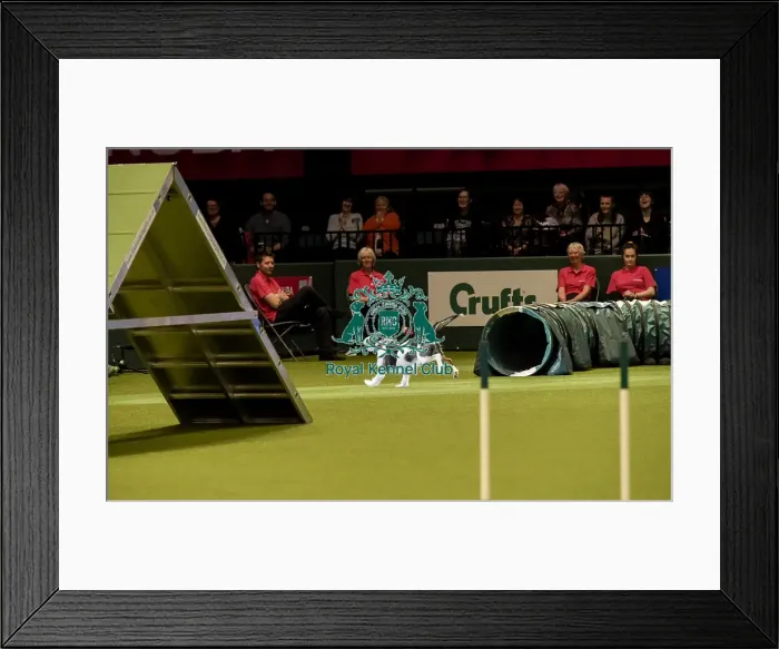 Framed Print : Crufts 2019 - Day Two, NEC, UK - 8 Mar 2019 Framed Print : Crufts 2019 - Day Two, NEC, UK - 8 Mar 2019