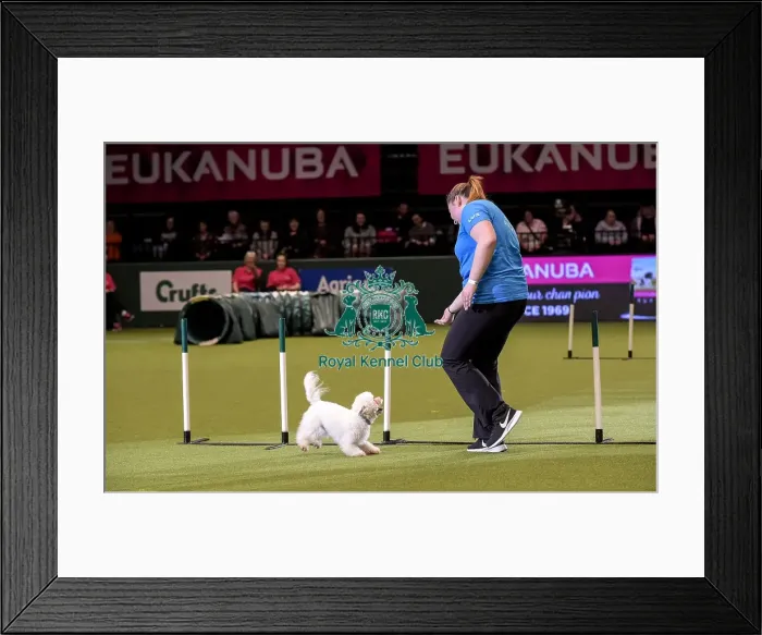 Framed Print : Crufts 2019 - Day Two, NEC, UK - 8 Mar 2019