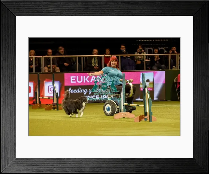 Framed Print : Crufts 2019 - Day Two, NEC, UK - 8 Mar 2019 Framed Print : Crufts 2019 - Day Two, NEC, UK - 8 Mar 2019