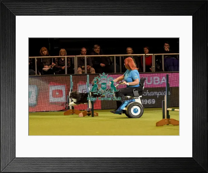 Framed Print : Crufts 2019 - Day Two, NEC, UK - 8 Mar 2019 Framed Print : Crufts 2019 - Day Two, NEC, UK - 8 Mar 2019