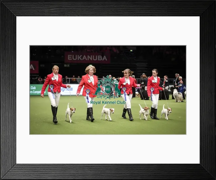 Framed Print : Crufts 2019 - Day Two, NEC, UK - 8 Mar 2019 Framed Print : Crufts 2019 - Day Two, NEC, UK - 8 Mar 2019