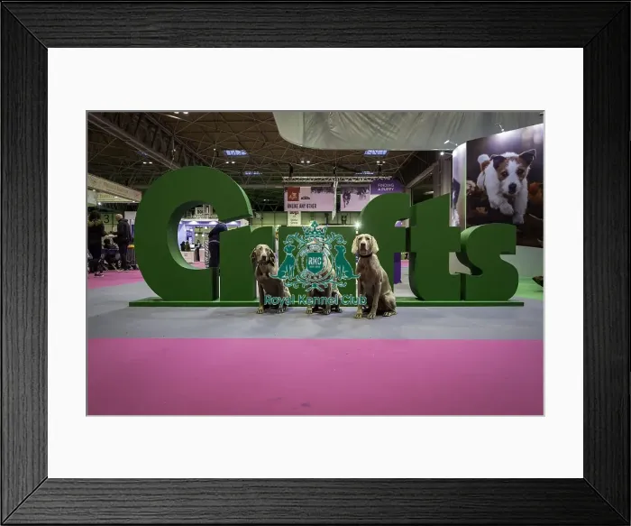 Framed Print : Crufts 2019 - Day One, NEC, UK - 7 Mar 2019 Framed Print : Crufts 2019 - Day One, NEC, UK - 7 Mar 2019