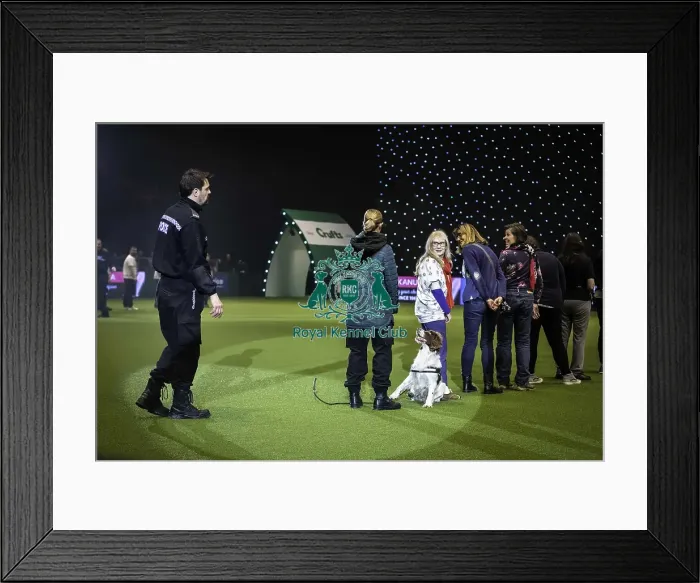 Framed Print : Crufts 2019 - Day One, NEC, UK - 7 Mar 2019 Framed Print : Crufts 2019 - Day One, NEC, UK - 7 Mar 2019