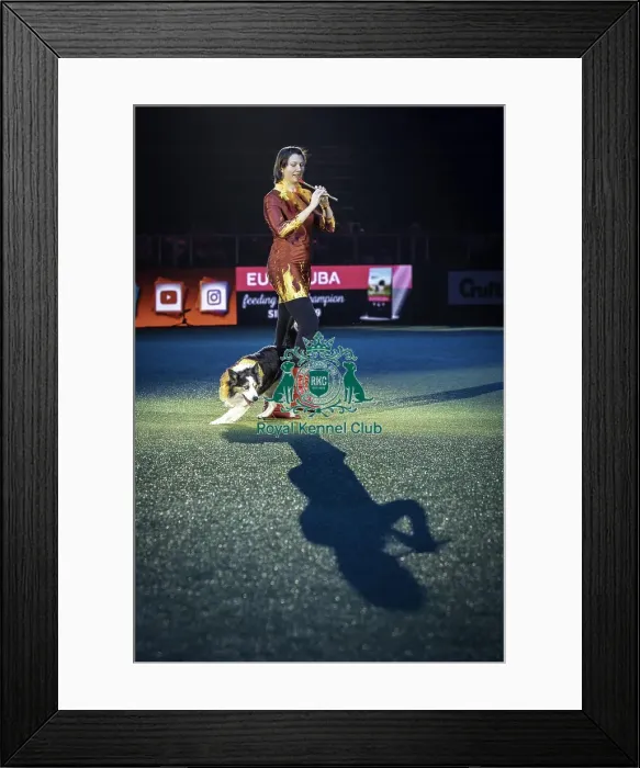 Framed Print : Crufts 2019 - Day One, NEC, UK - 7 Mar 2019 Framed Print : Crufts 2019 - Day One, NEC, UK - 7 Mar 2019