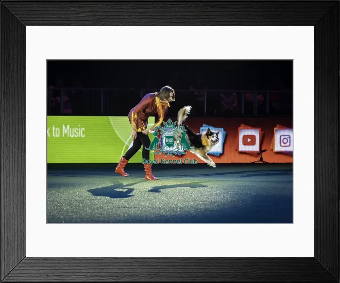 Framed Print : Crufts 2019 - Day One, NEC, UK - 7 Mar 2019 Framed Print : Crufts 2019 - Day One, NEC, UK - 7 Mar 2019
