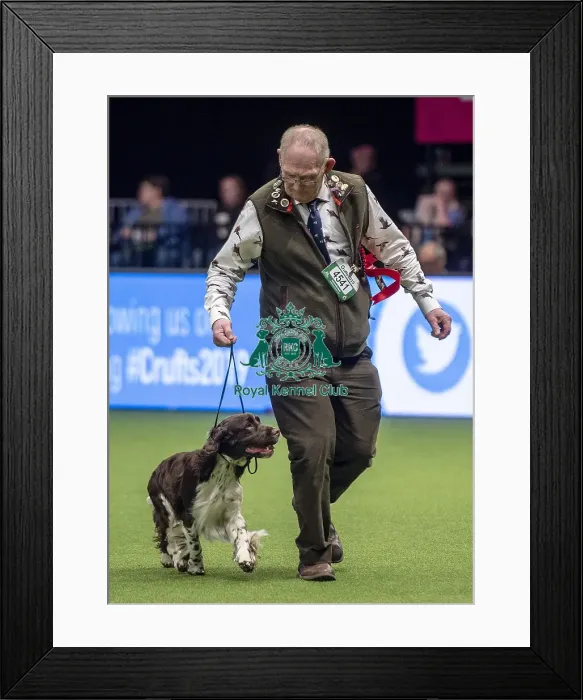 Framed Print : Crufts 2019 - Day One, NEC, UK - 7 Mar 2019 Framed Print : Crufts 2019 - Day One, NEC, UK - 7 Mar 2019