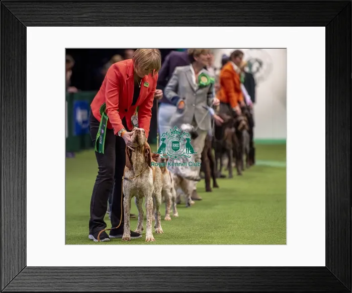 Framed Print : Crufts 2019 - Day One, NEC, UK - 7 Mar 2019 Framed Print : Crufts 2019 - Day One, NEC, UK - 7 Mar 2019