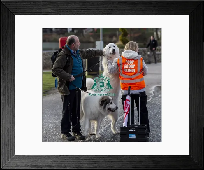 Framed Print : Crufts 2019 - Day Two, NEC, UK - 8 Mar 2019 Framed Print : Crufts 2019 - Day Two, NEC, UK - 8 Mar 2019