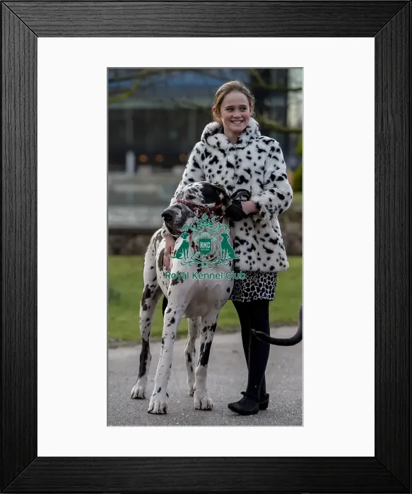 Framed Print : Crufts 2019 - Day Two, NEC, UK - 8 Mar 2019