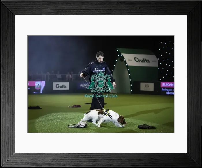 Framed Print : Crufts 2019 - Day One, NEC, UK - 7 Mar 2019 Framed Print : Crufts 2019 - Day One, NEC, UK - 7 Mar 2019