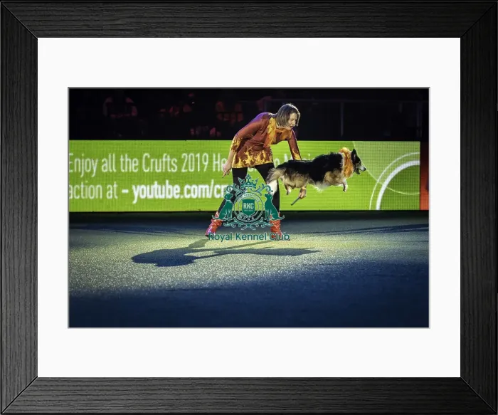 Framed Print : Crufts 2019 - Day One, NEC, UK - 7 Mar 2019 Framed Print : Crufts 2019 - Day One, NEC, UK - 7 Mar 2019