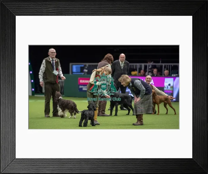 Framed Print : Crufts 2019 - Day One, NEC, UK - 7 Mar 2019 Framed Print : Crufts 2019 - Day One, NEC, UK - 7 Mar 2019