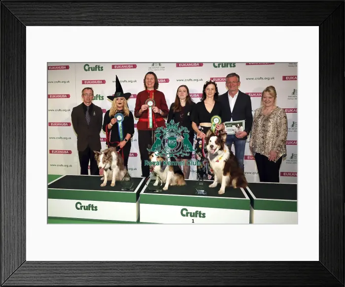Framed Print : Crufts 2019 - Day Two, NEC, UK - 8 Mar 2019 Framed Print : Crufts 2019 - Day Two, NEC, UK - 8 Mar 2019
