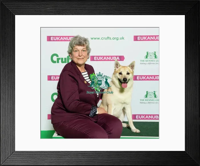 Framed Print : Crufts 2019 - Best of Breed / Pastoral Framed Print : Crufts 2019 - Best of Breed / Pastoral