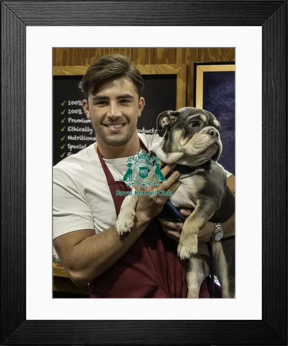 Framed Print : Crufts 2019 - Day Two, NEC, UK - 8 Mar 2019 Framed Print : Crufts 2019 - Day Two, NEC, UK - 8 Mar 2019