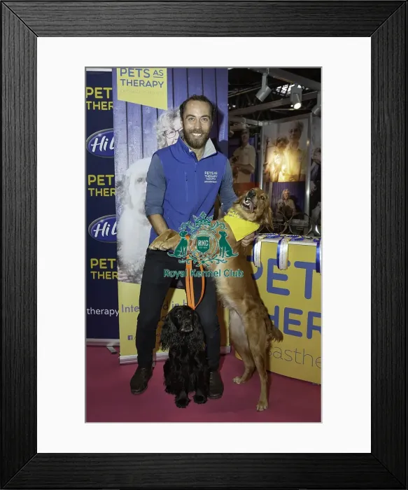 Framed Print : Crufts 2019 - Day Two, NEC, UK - 8 Mar 2019