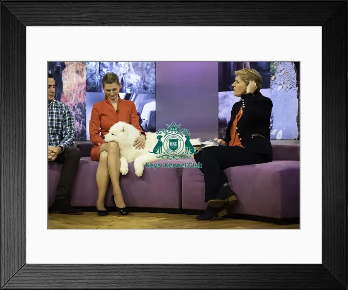 Framed Print : Crufts 2019 - Celebrities Framed Print : Crufts 2019 - Celebrities