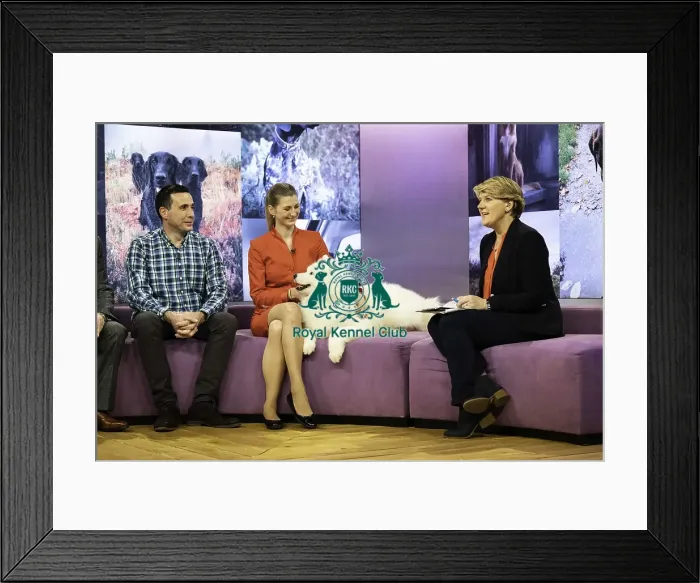 Framed Print : Crufts 2019 - Day Two, NEC, UK - 8 Mar 2019 Framed Print : Crufts 2019 - Day Two, NEC, UK - 8 Mar 2019