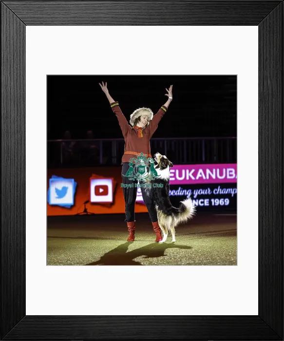 Framed Print : Crufts 2019 - Day Two, NEC, UK - 8 Mar 2019 Framed Print : Crufts 2019 - Day Two, NEC, UK - 8 Mar 2019