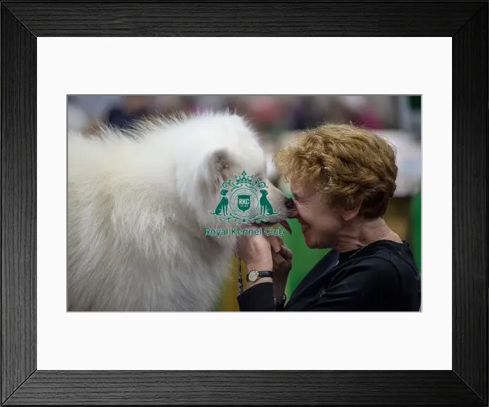 Framed Print : Crufts 2019 - Day Two, NEC, UK - 8 Mar 2019 Framed Print : Crufts 2019 - Day Two, NEC, UK - 8 Mar 2019