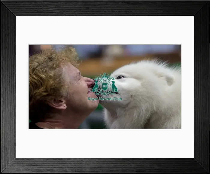 Framed Print : Crufts 2019 - Day Two, NEC, UK - 8 Mar 2019 Framed Print : Crufts 2019 - Day Two, NEC, UK - 8 Mar 2019