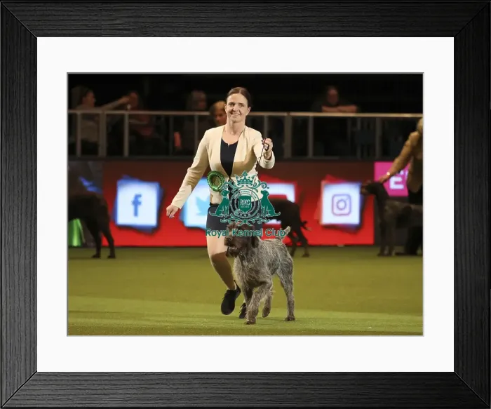 Framed Print : Crufts 2019 - Day One, NEC, UK - 7 Mar 2019 Framed Print : Crufts 2019 - Day One, NEC, UK - 7 Mar 2019
