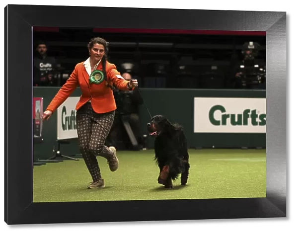 Crufts 2019 - Best of Breed