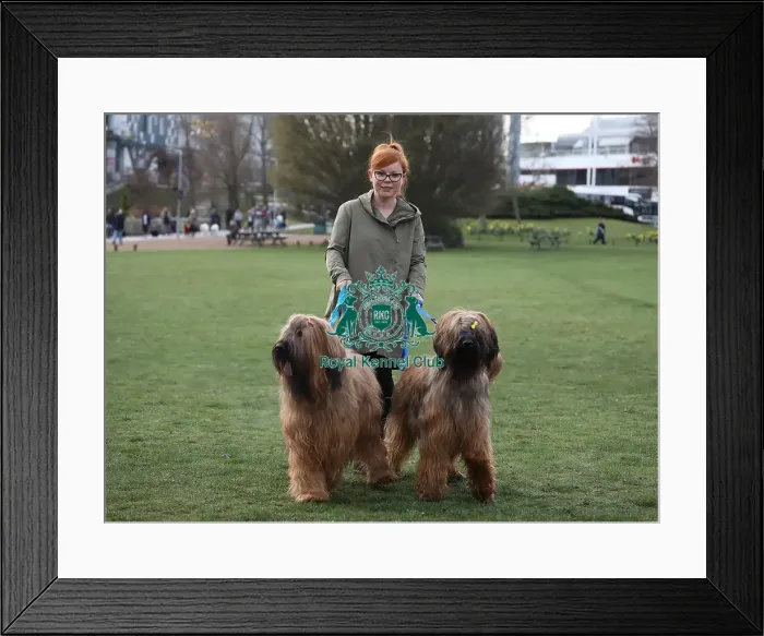 Framed Print : Crufts 2019 - Day Two, NEC, UK - 8 Mar 2019 Framed Print : Crufts 2019 - Day Two, NEC, UK - 8 Mar 2019