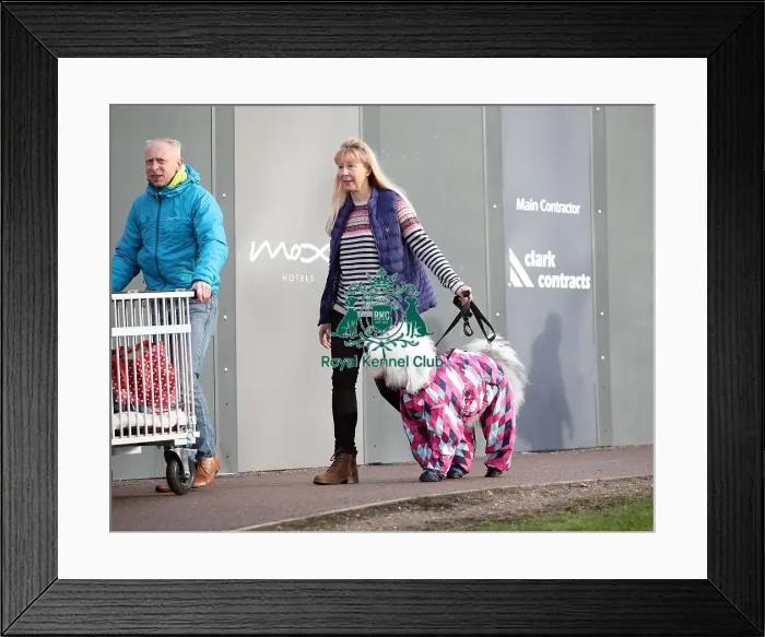 Framed Print : Crufts 2019 - Day Two, NEC, UK - 8 Mar 2019 Framed Print : Crufts 2019 - Day Two, NEC, UK - 8 Mar 2019