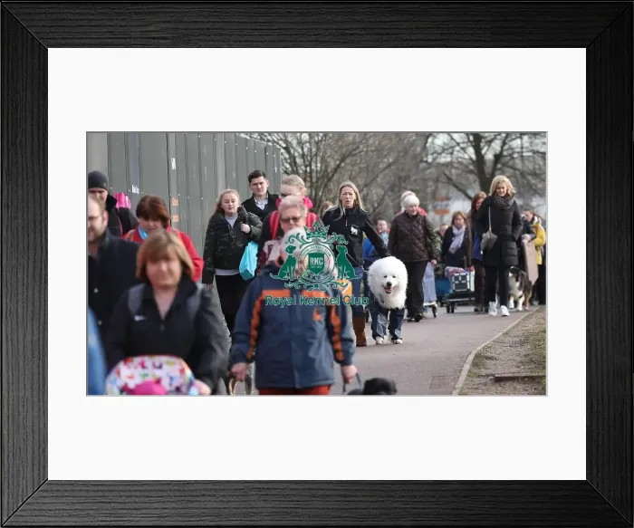 Framed Print : Crufts 2019 - Day Two, NEC, UK - 8 Mar 2019 Framed Print : Crufts 2019 - Day Two, NEC, UK - 8 Mar 2019