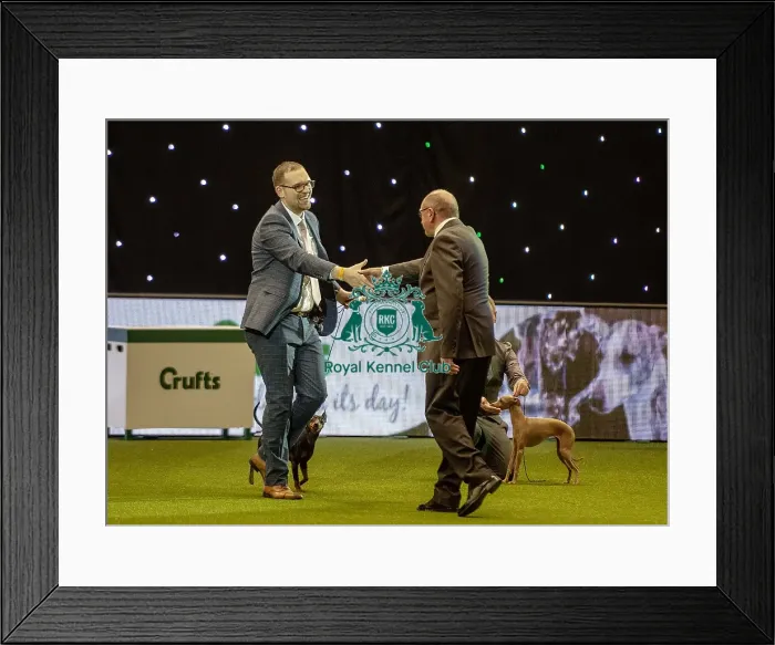 Framed Print : Crufts 2019 - Day One, NEC, UK - 7 Mar 2019