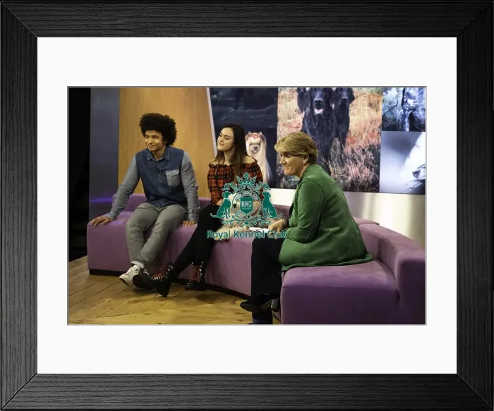 Framed Print : Crufts 2019 - Day One, NEC, UK - 7 Mar 2019 Framed Print : Crufts 2019 - Day One, NEC, UK - 7 Mar 2019