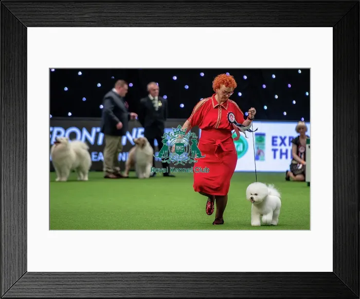 Framed Print : Crufts 2019 - Day One, NEC, UK - 7 Mar 2019 Framed Print : Crufts 2019 - Day One, NEC, UK - 7 Mar 2019