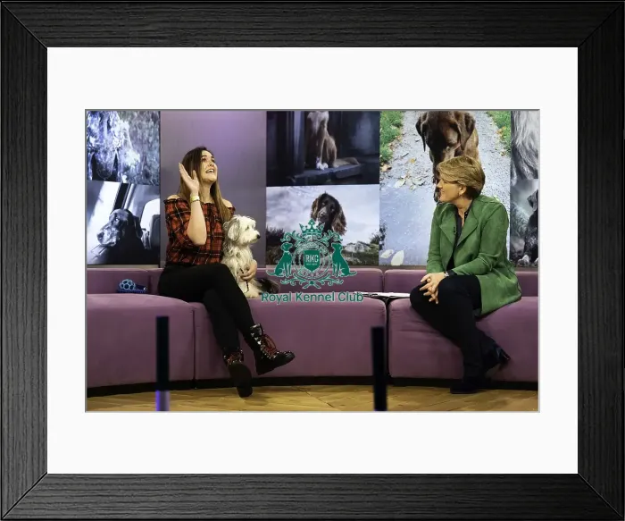 Framed Print : Crufts 2019 - Day One, NEC, UK - 7 Mar 2019 Framed Print : Crufts 2019 - Day One, NEC, UK - 7 Mar 2019