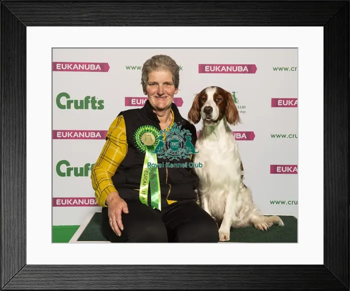 Framed Print : Crufts 2019 - Best of Breed  /  Gundog
