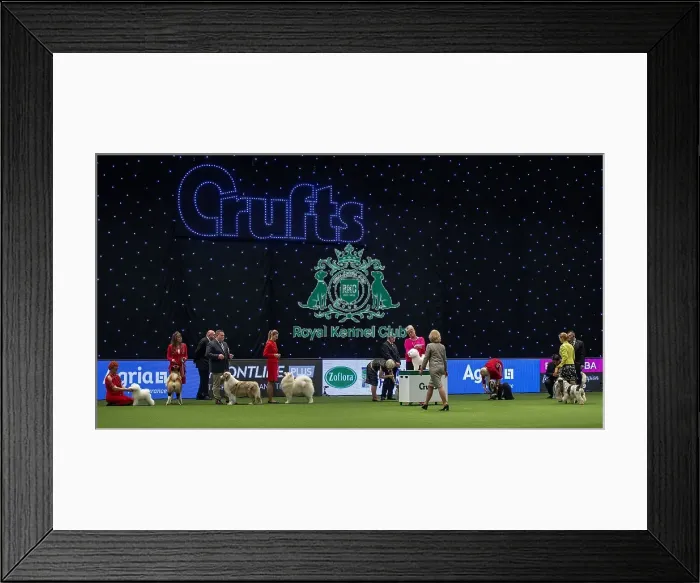 Framed Print : Crufts 2019 - Day One, NEC, UK - 7 Mar 2019 Framed Print : Crufts 2019 - Day One, NEC, UK - 7 Mar 2019