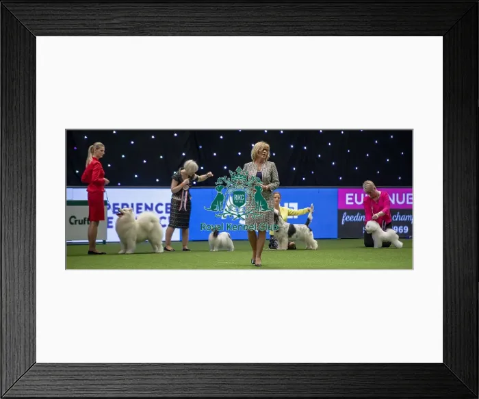 Framed Print : Crufts 2019 - Day One, NEC, UK - 7 Mar 2019 Framed Print : Crufts 2019 - Day One, NEC, UK - 7 Mar 2019